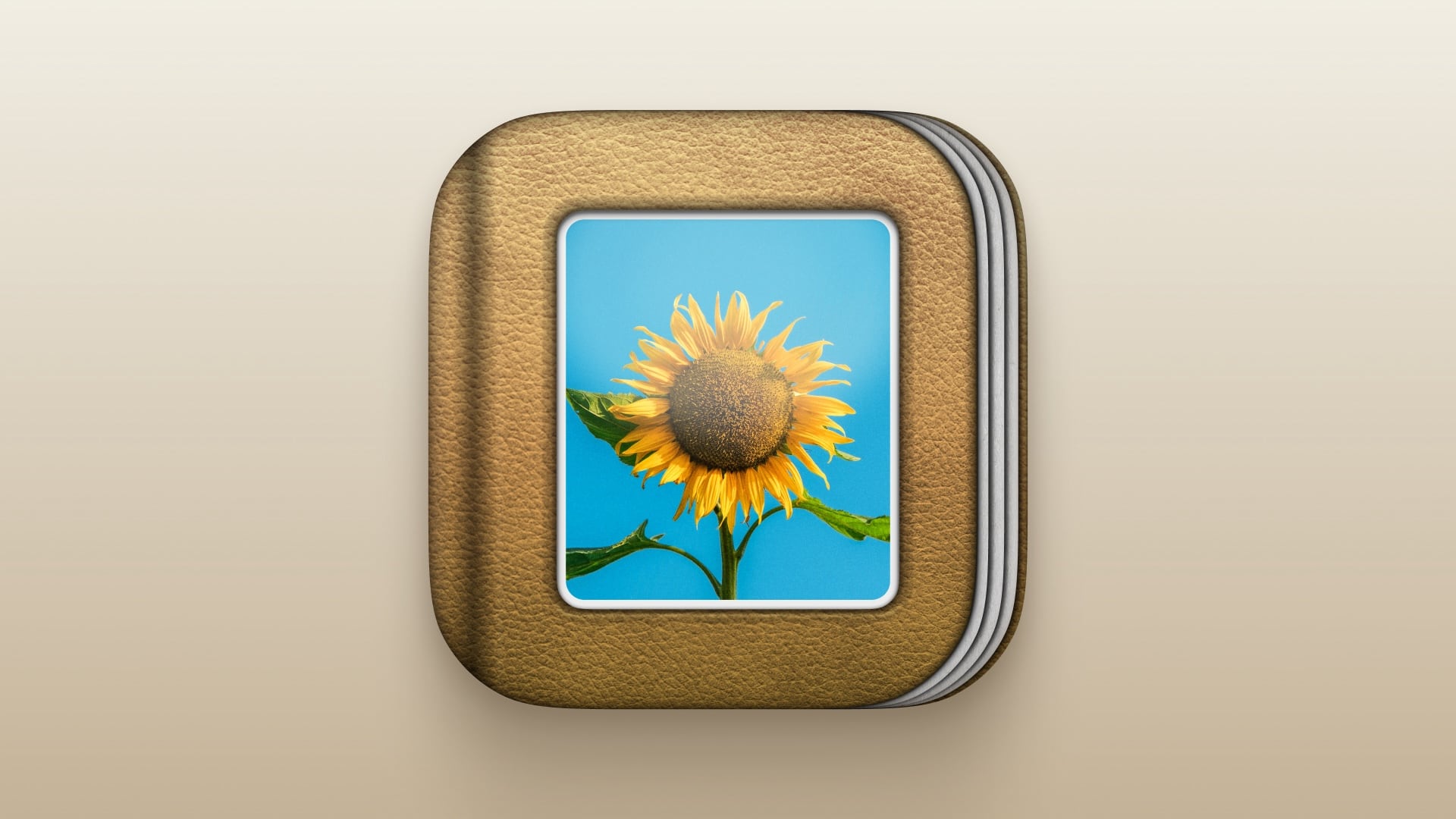 An iOS app icon of a detailed, light-brown leather photo album. The cover is dominated by a photograph of a sunflower, and pages peek out on the right side.